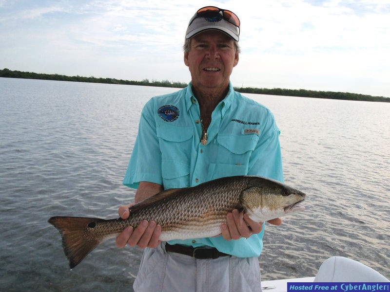 Matlacha Pass Redfish