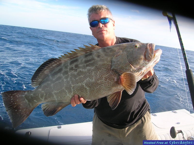 24 lb Grouper
