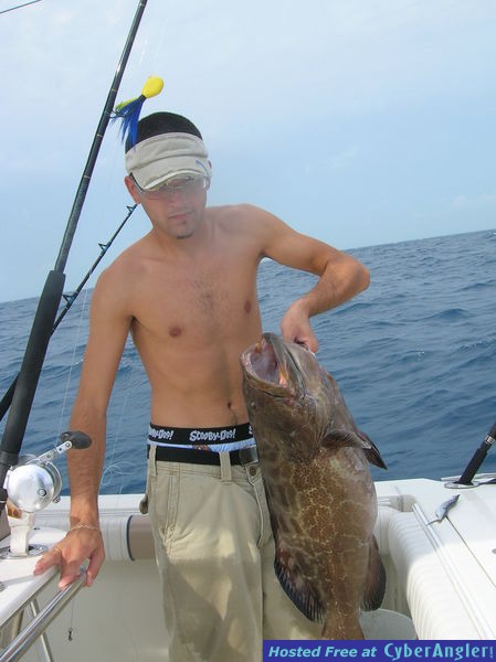 alex 17 lb
