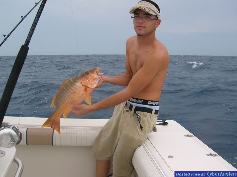 dog snapper