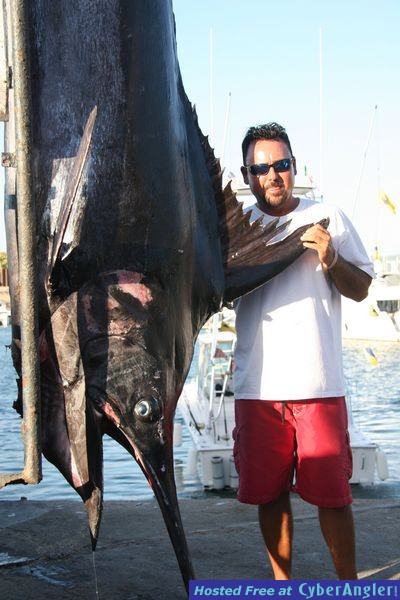 Massive Blue Marlin Caught in Cabo