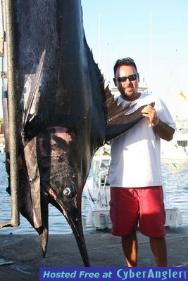 Massive Blue Marlin Caught in Cabo