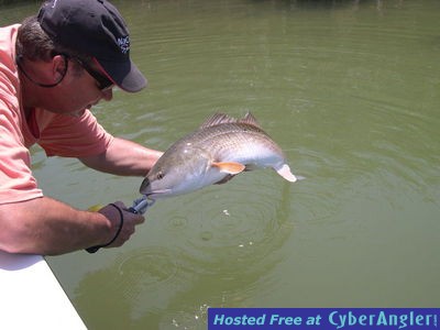 Click to Enlarge Photo