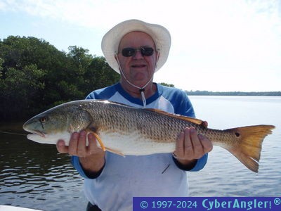 Click to Enlarge Photo