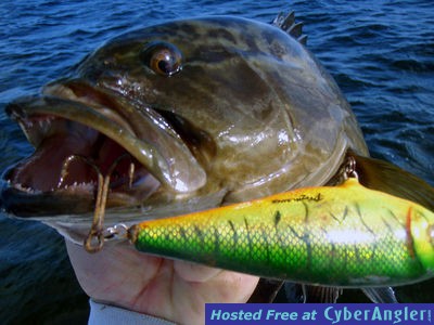 Click to Enlarge Photo