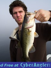 Lake Toho Bass