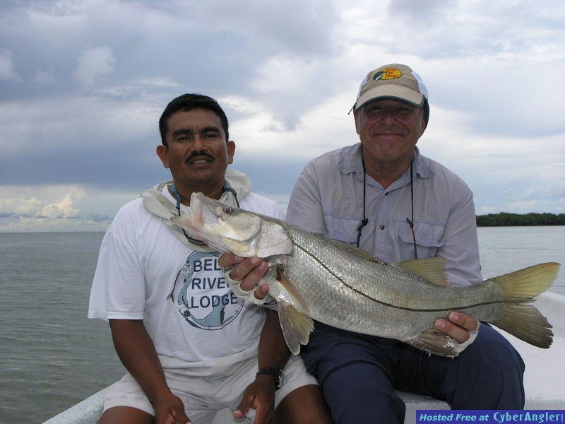 Belize Snook