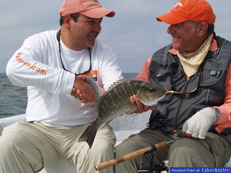 Campeche Mangrove Snapper