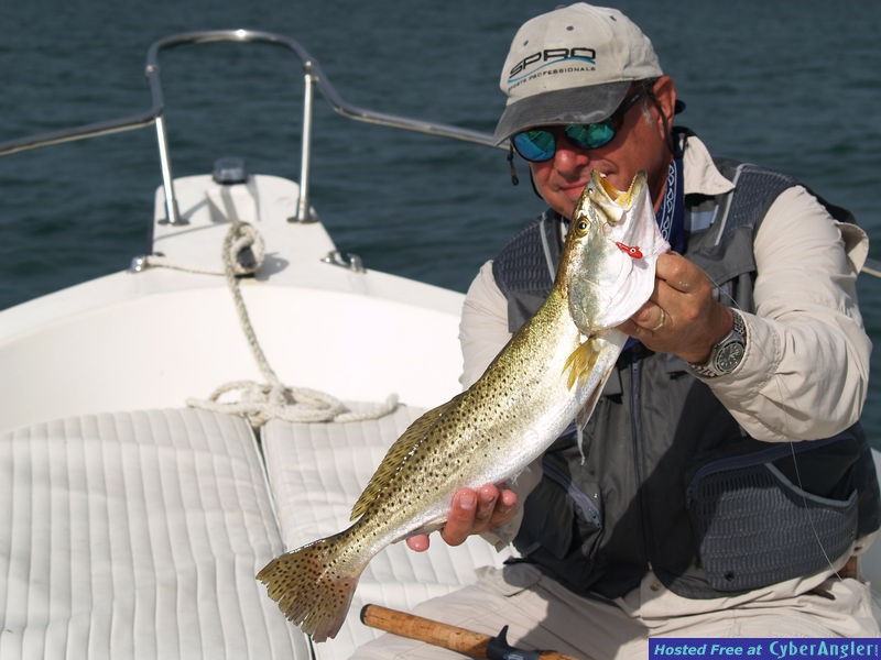 Campeche SeaTrout
