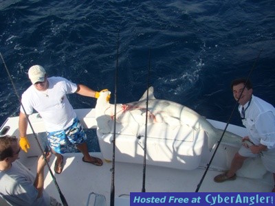 Click to Enlarge Photo