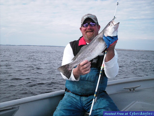Dec_08_Trout