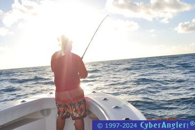 Click to Enlarge Photo