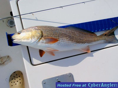 Click to Enlarge Photo