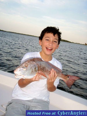 Click to Enlarge Photo