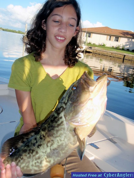 Grouper Dinner