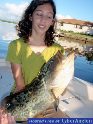 Click to Enlarge Photo