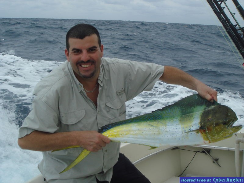 Miami fishing for Sailfish