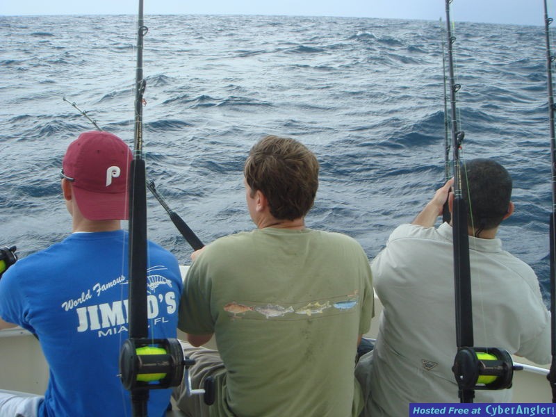 Miami fishing for Sailfish
