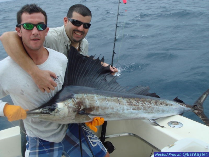 Miami fishing for Sailfish
