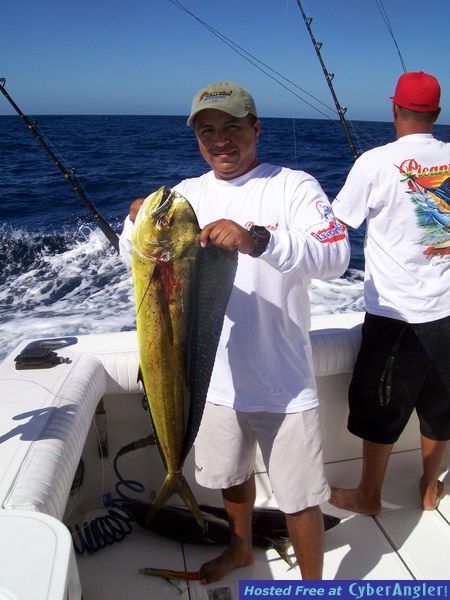 Alex &amp; Dorado