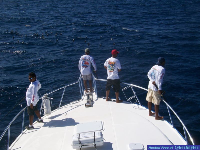 Human Fish Finder