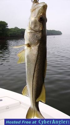 Click to Enlarge Photo