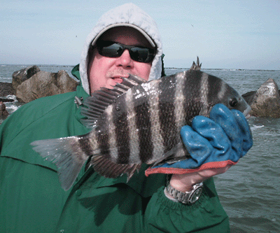 Click to Enlarge Photo