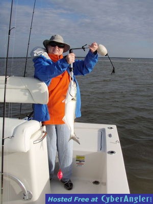 Click to Enlarge Photo