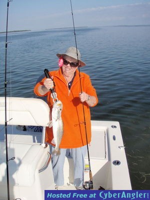 Click to Enlarge Photo