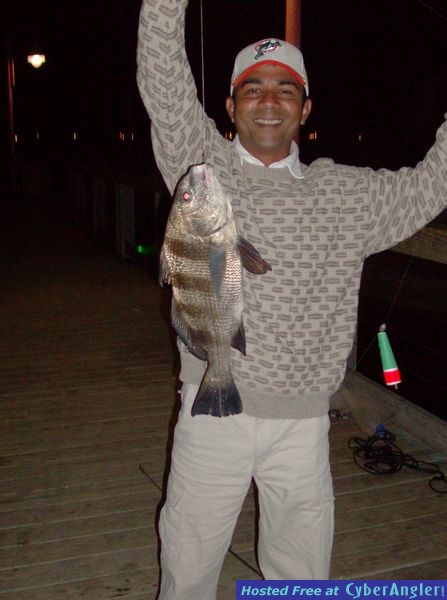 Just SHUT UP and fish