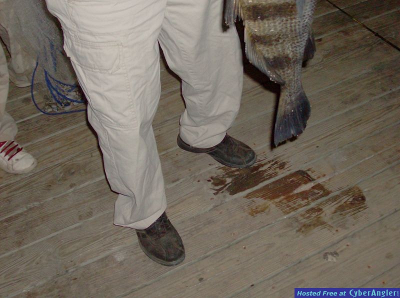 Just SHUT UP and fish
