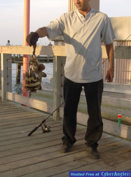 Just SHUT UP and fish