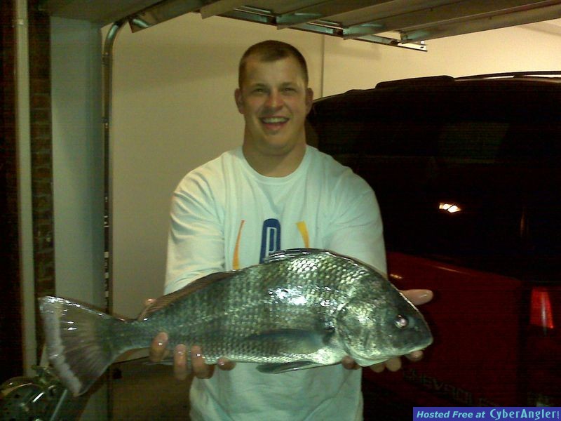 black drum