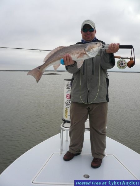 FinAddict Charters