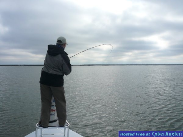FinAddict Charters