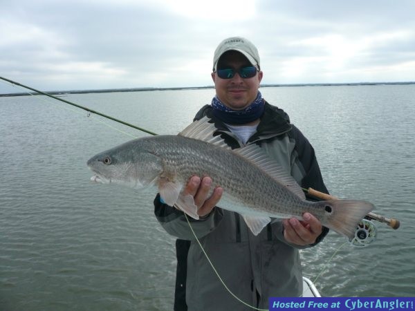 FinAddict Charters
