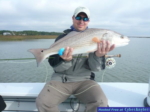 FinAddict Charters