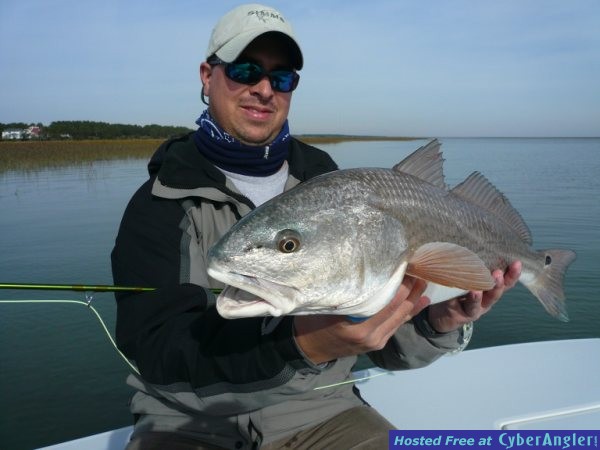 FinAddict Charters