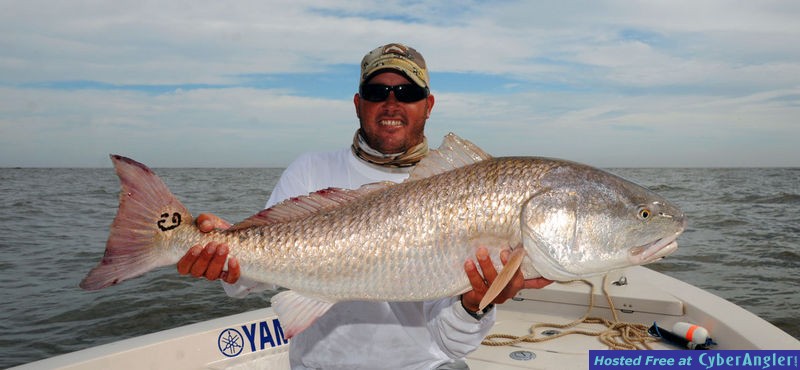 FinAddict Charters