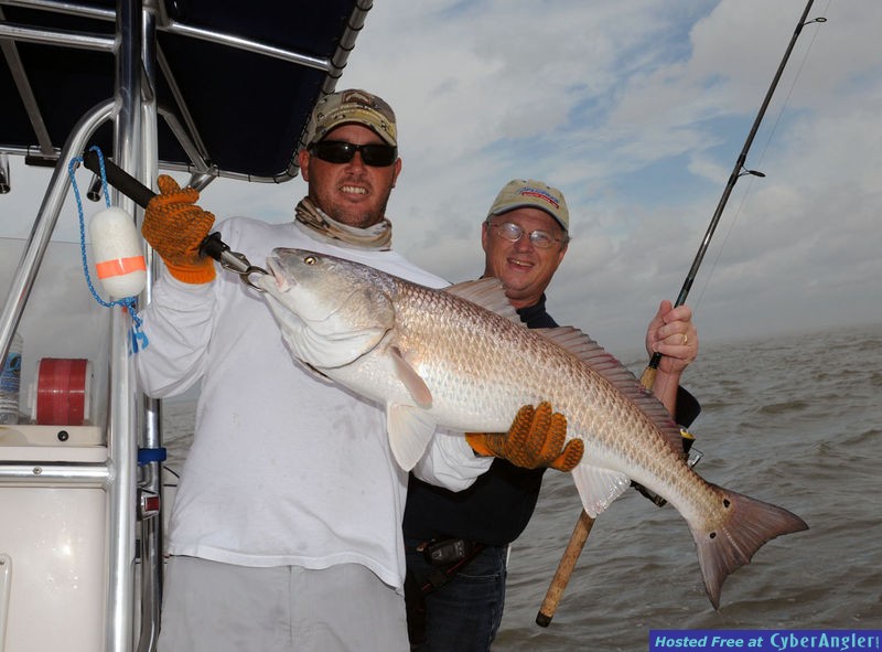 FinAddict Charters