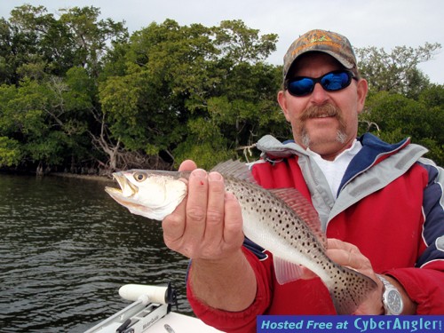 Matlacha Trout