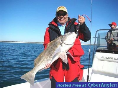 Click to Enlarge Photo