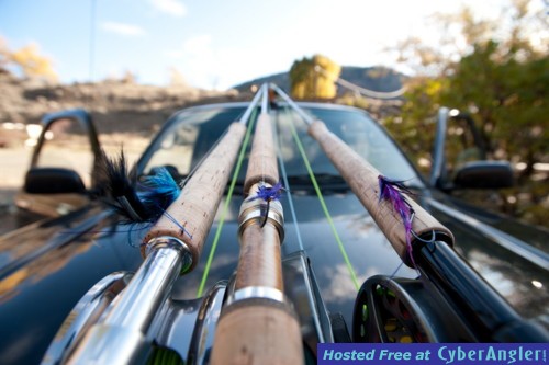 Ocean Winter Chinook (King) Salmon