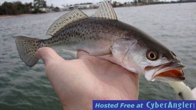 Click to Enlarge Photo