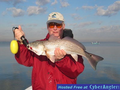 Click to Enlarge Photo