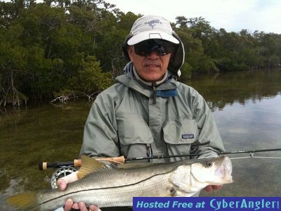 Cold water fly-caught snook in Florida Bay