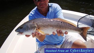 Click to Enlarge Photo