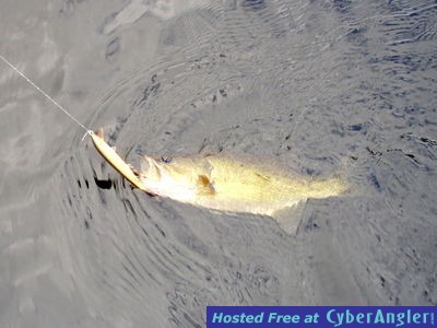 Click to Enlarge Photo