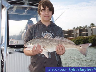 Click to Enlarge Photo