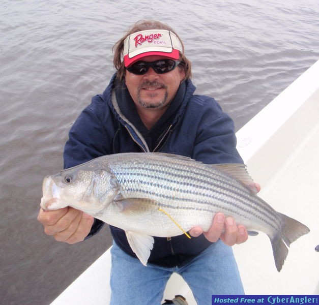 Cape Fear Striper